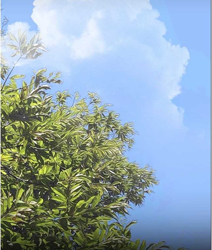 223.jpg