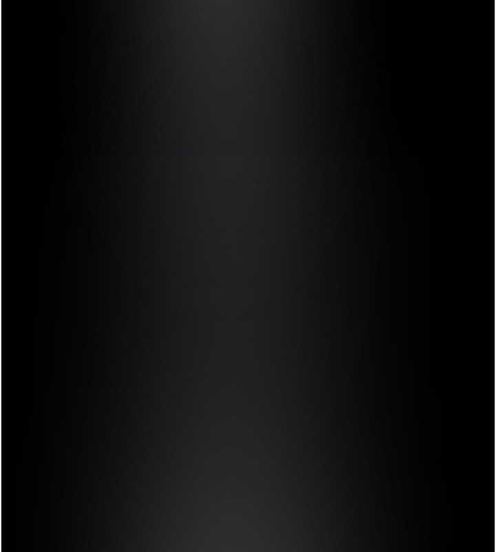 125.jpg
