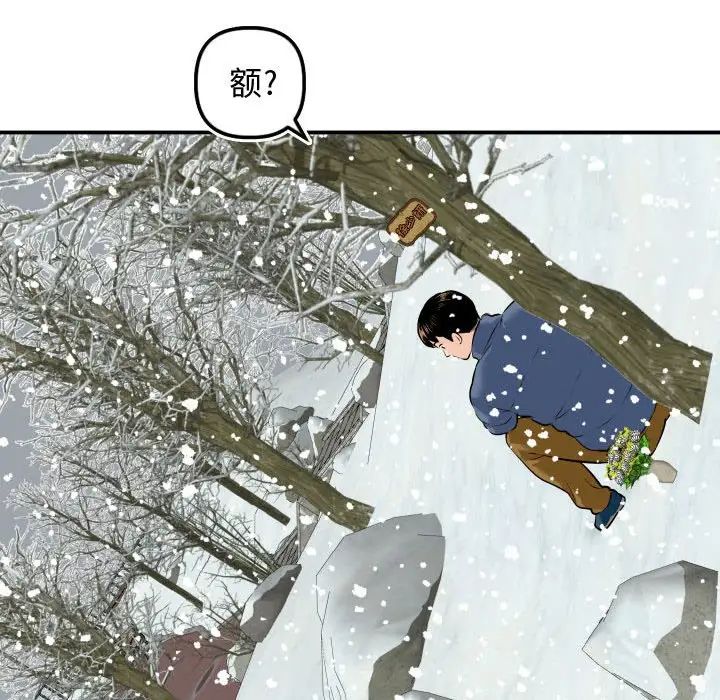 146.jpg