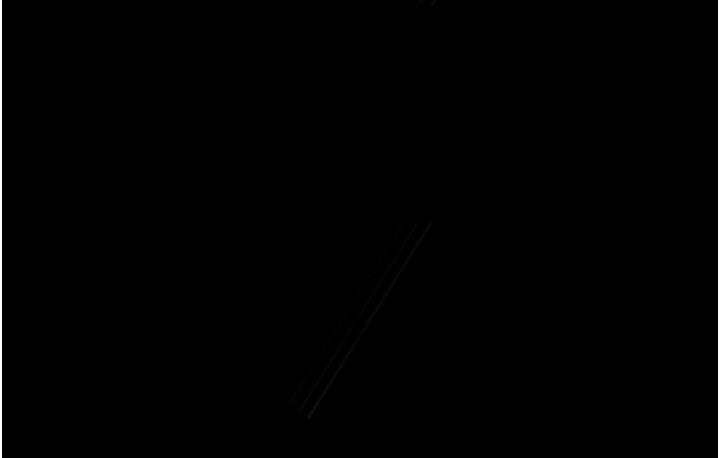 97.jpg