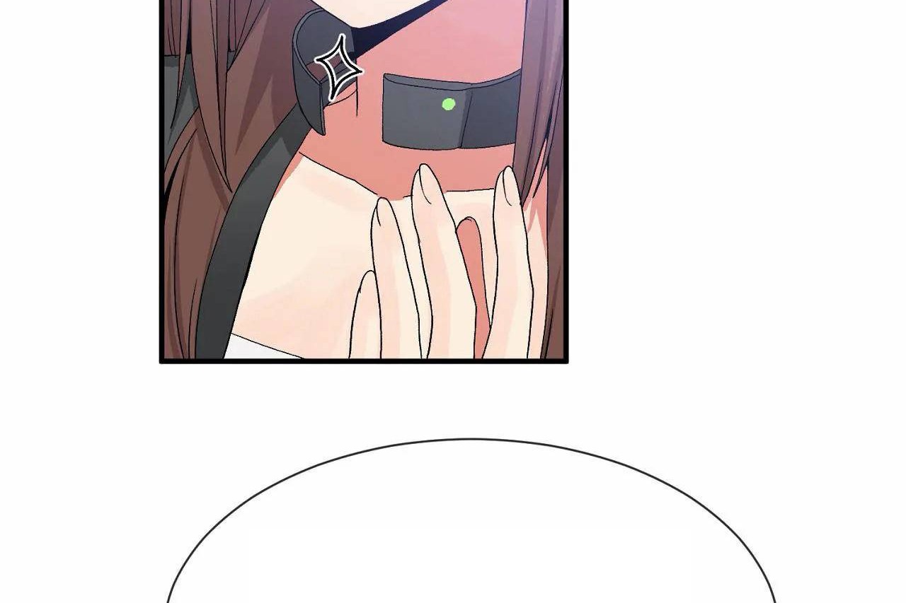 133.jpg