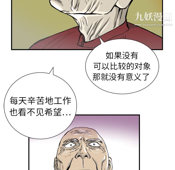 41.jpg