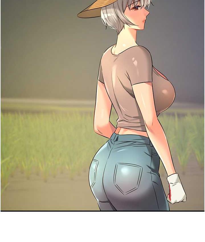 243.jpg