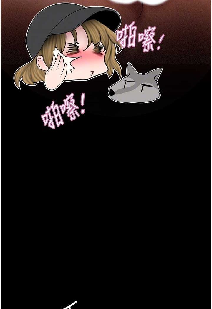 85.jpg