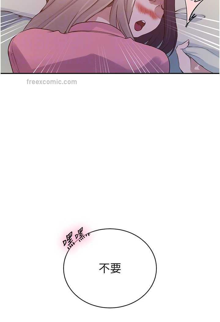 223.jpg