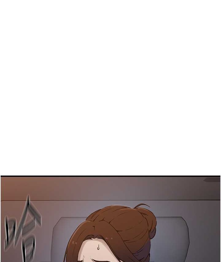 291.jpg