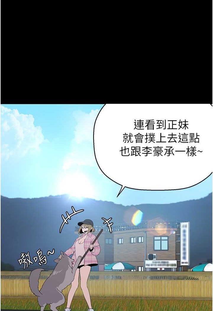 43.jpg