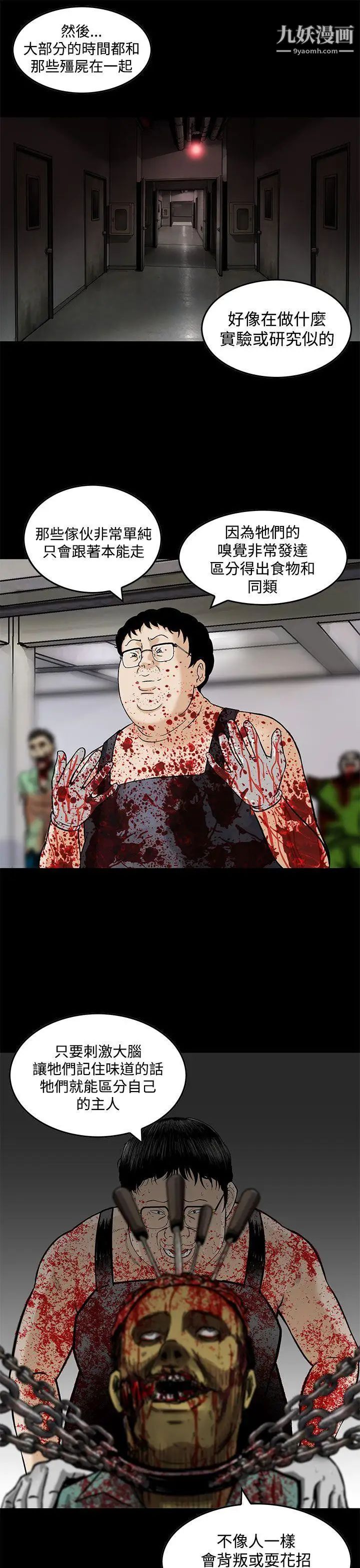 13.jpg