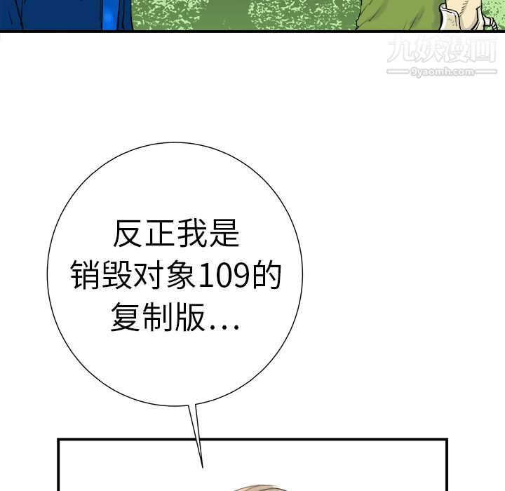 204.jpg