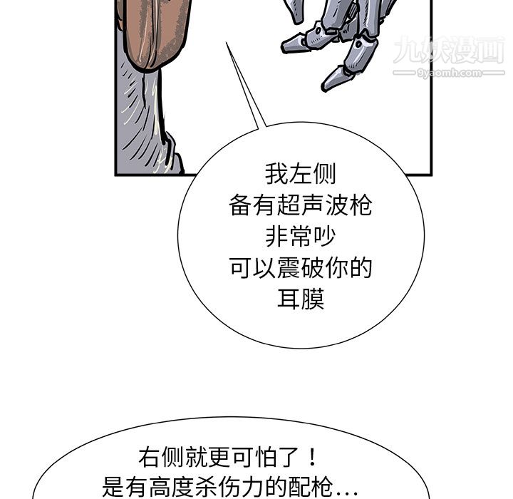 81.jpg