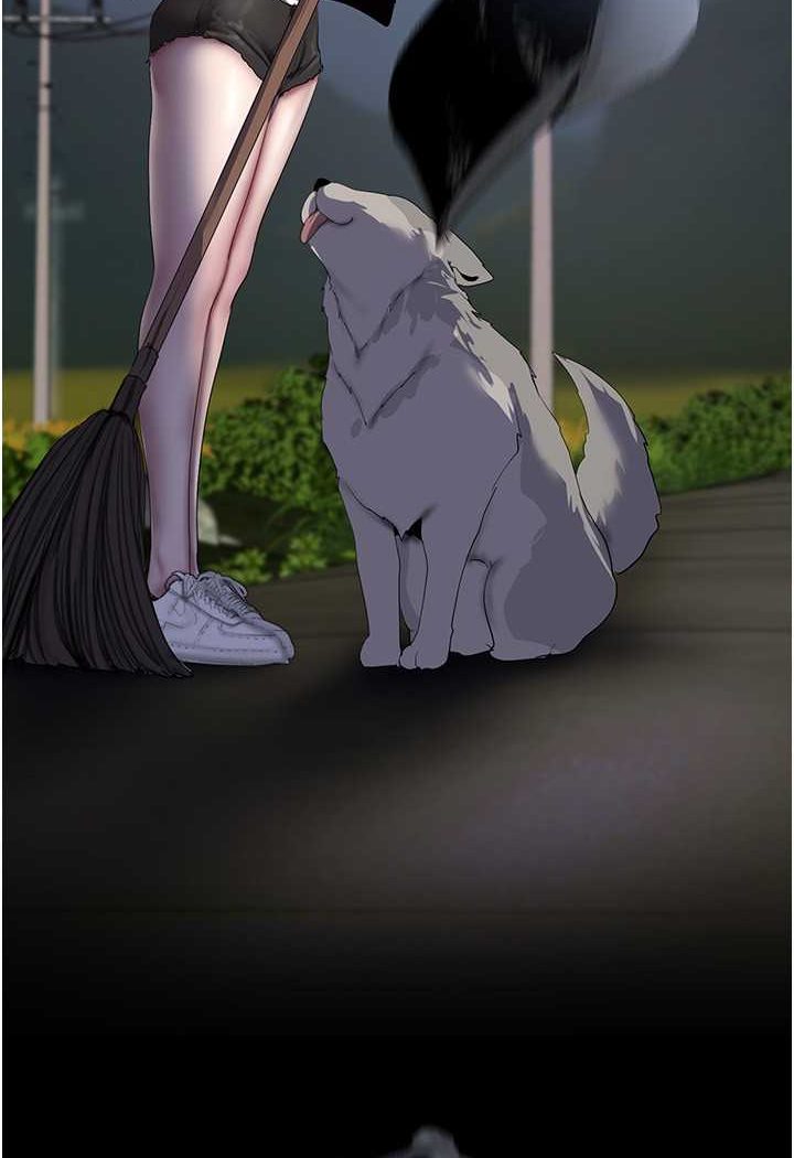 106.jpg