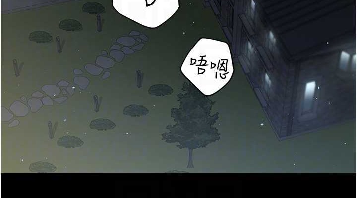 293.jpg