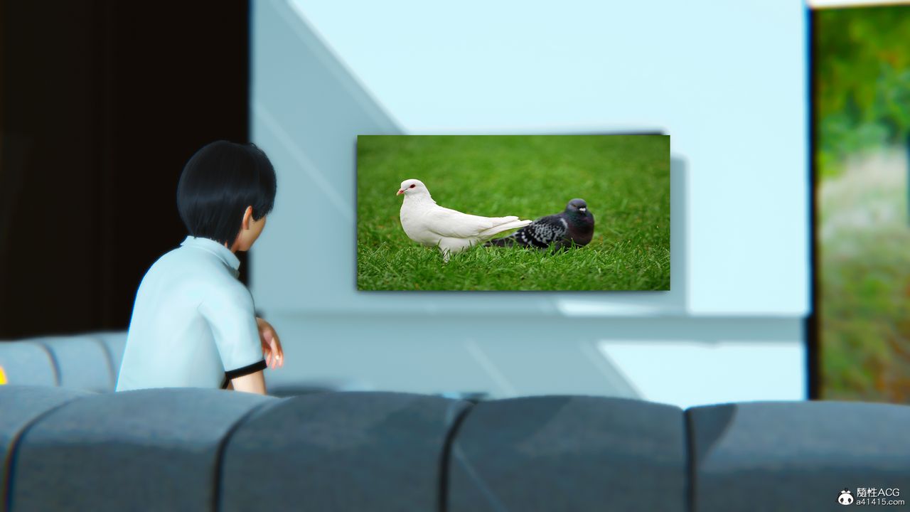 41.jpg