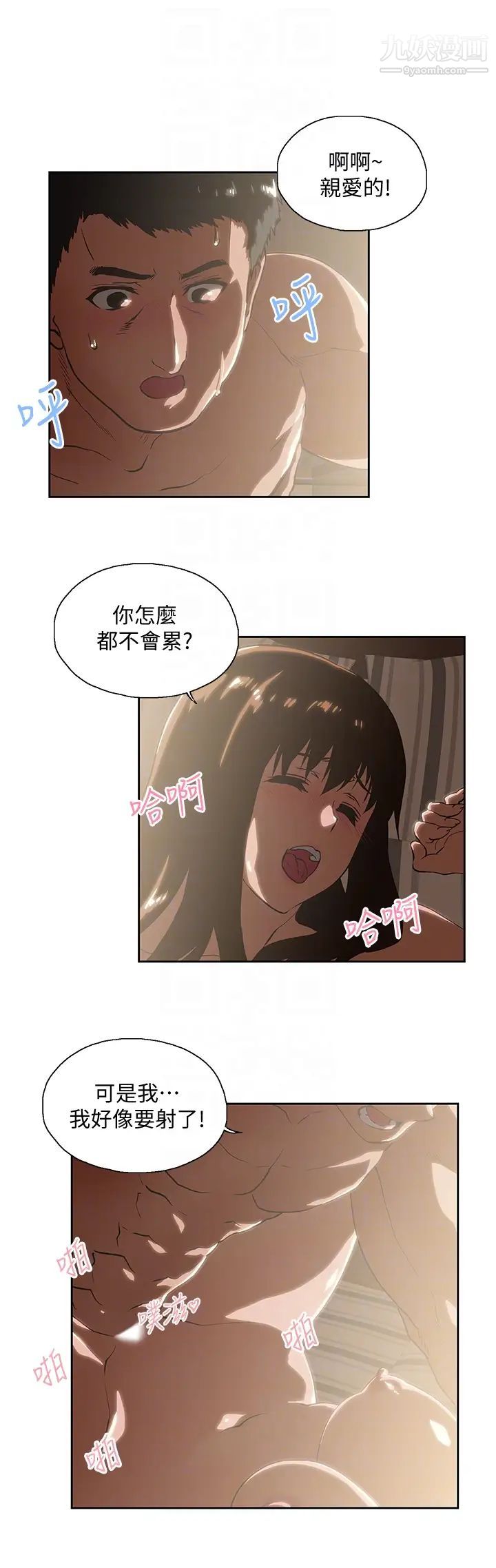 49.jpg