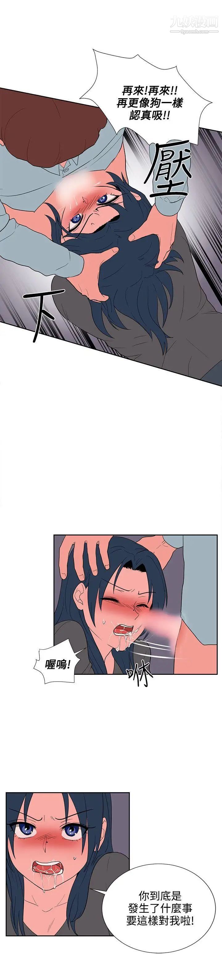 41.jpg
