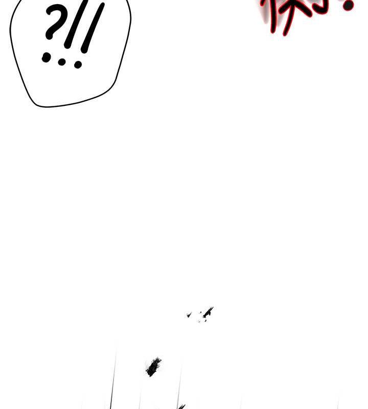 241.jpg