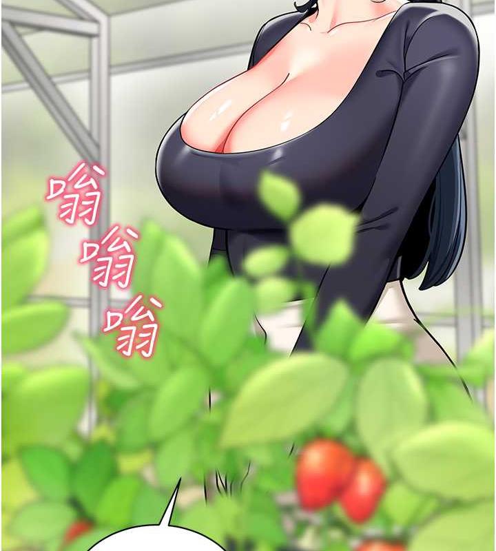 342.jpg