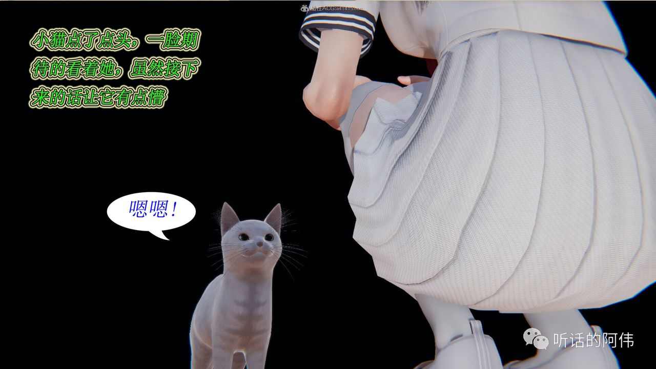 51.jpg