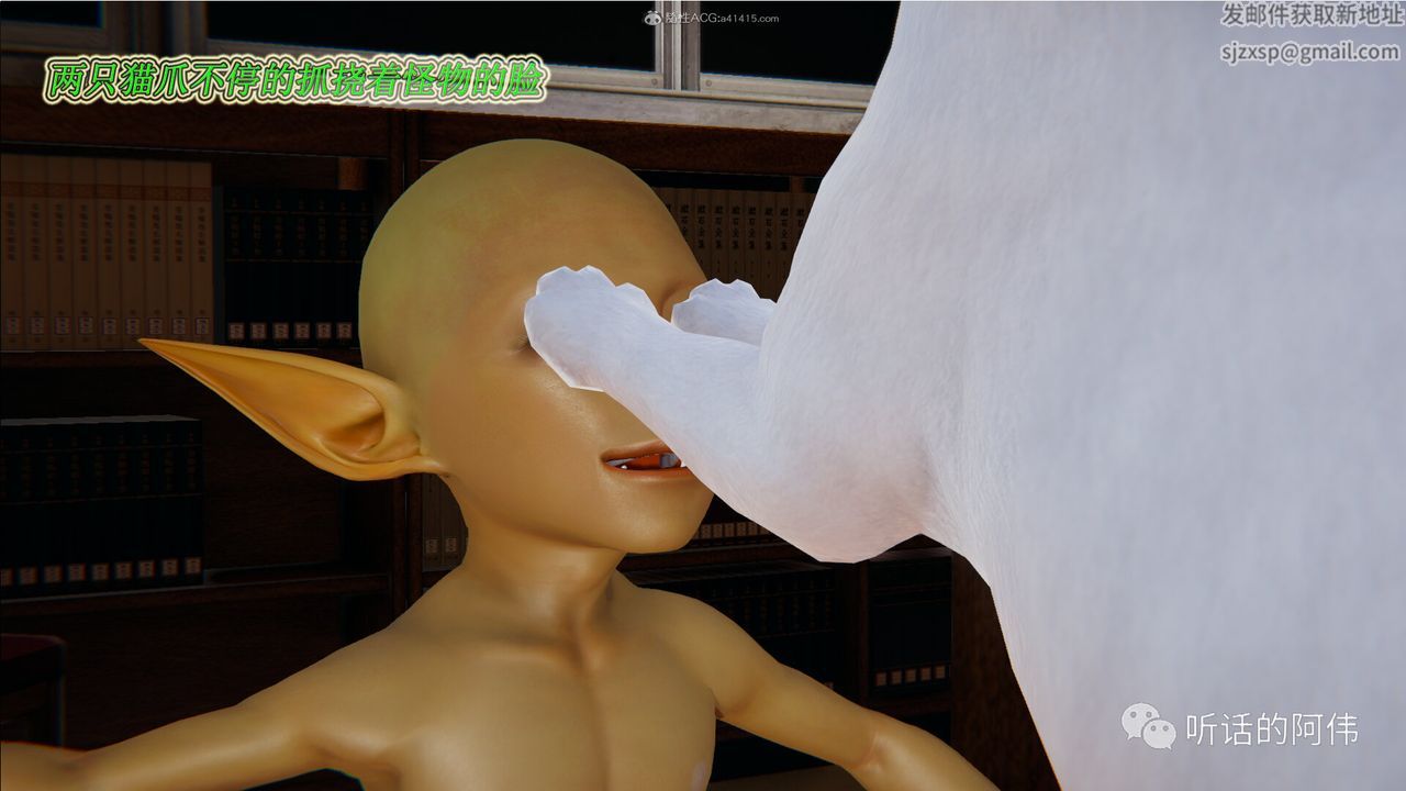 41.jpg
