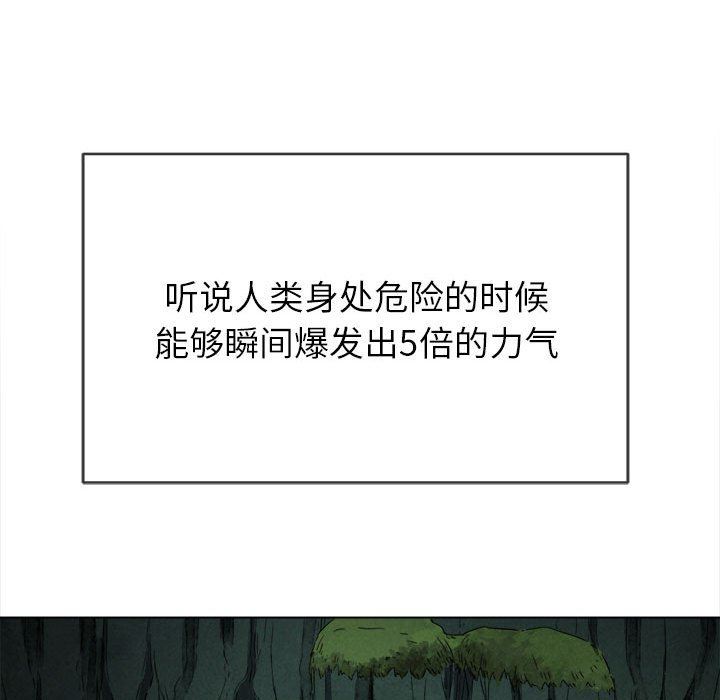 81.jpg