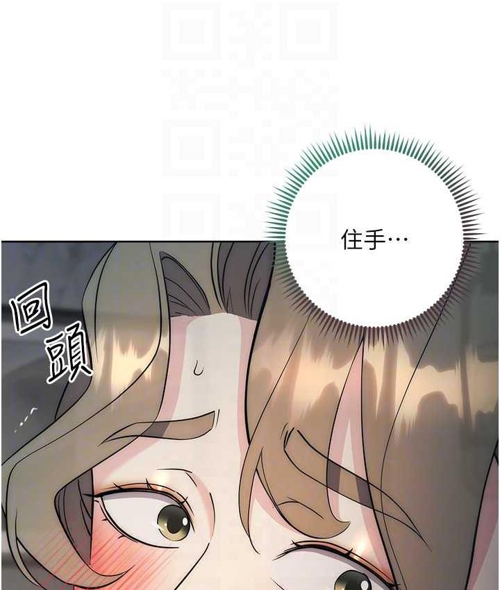517.jpg