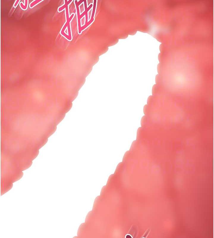 340.jpg