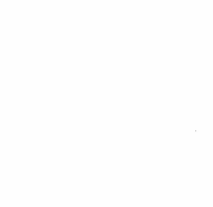 100.jpg