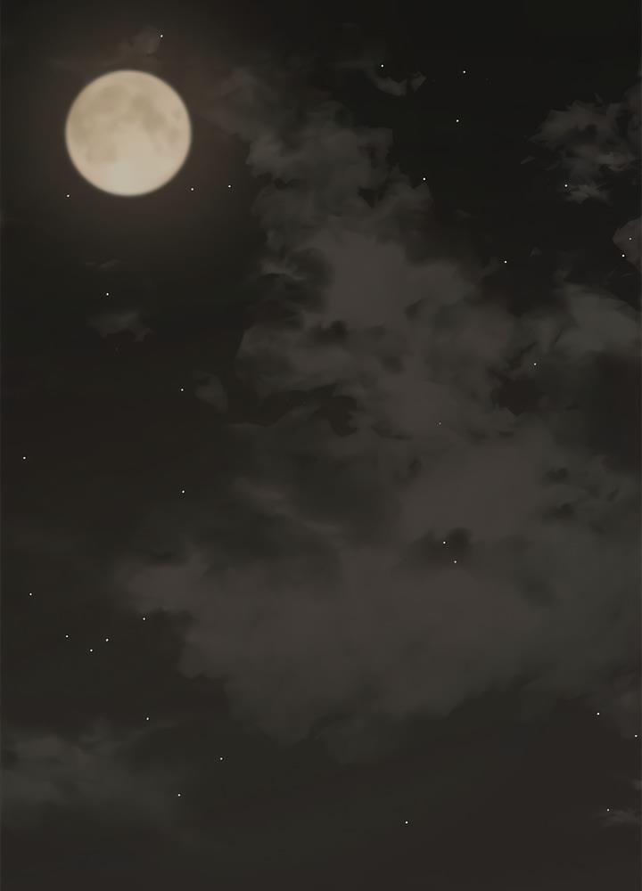 74.jpg