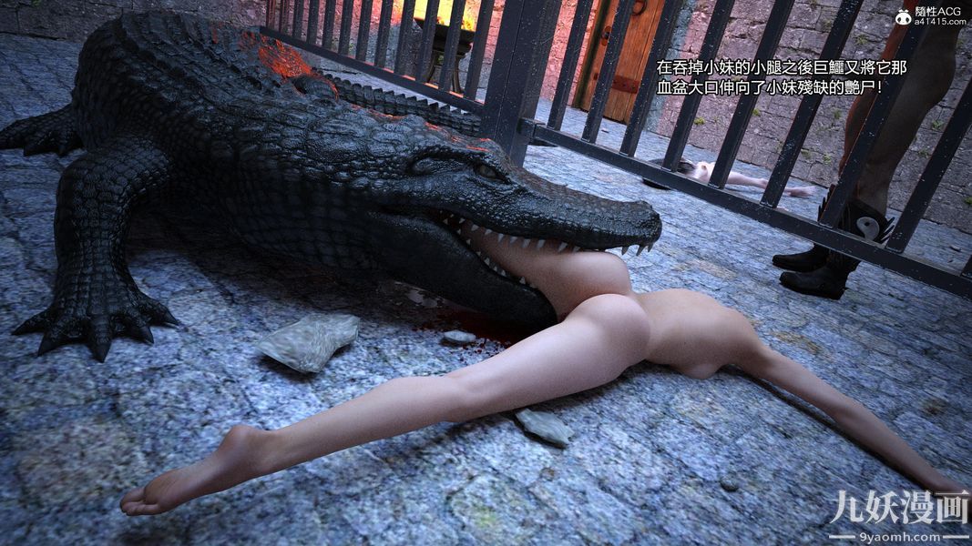 15.jpg