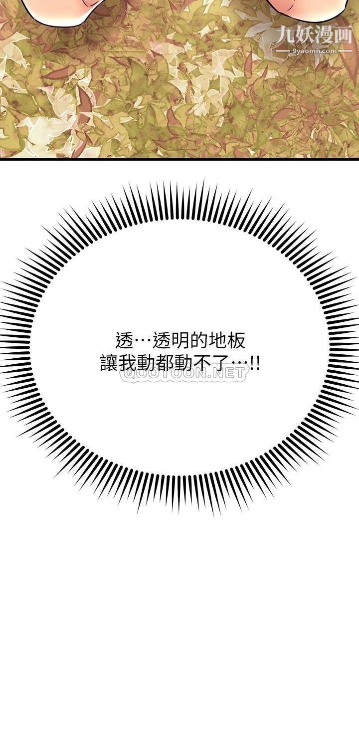 95.jpg