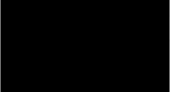 154.jpg