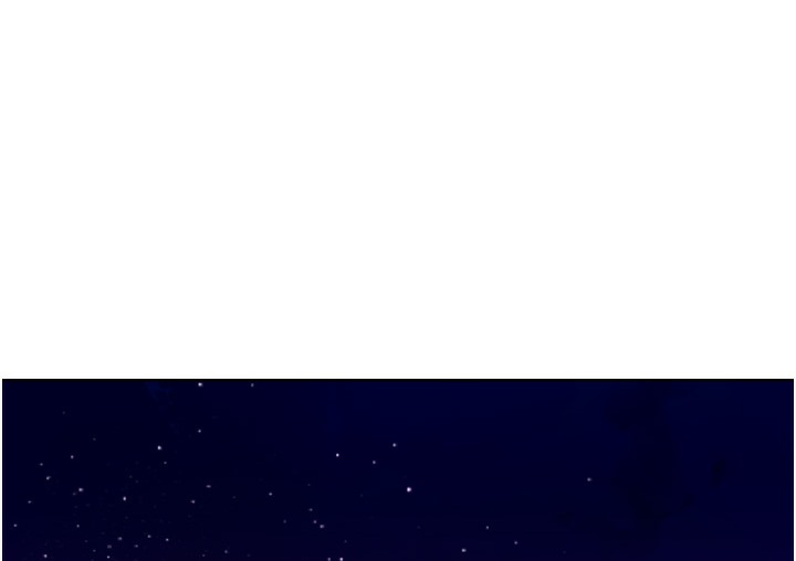 381.jpg