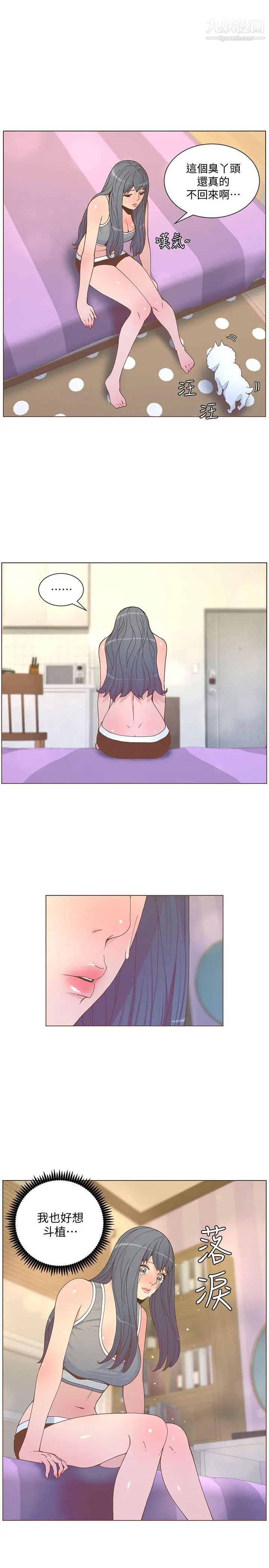 43.jpg