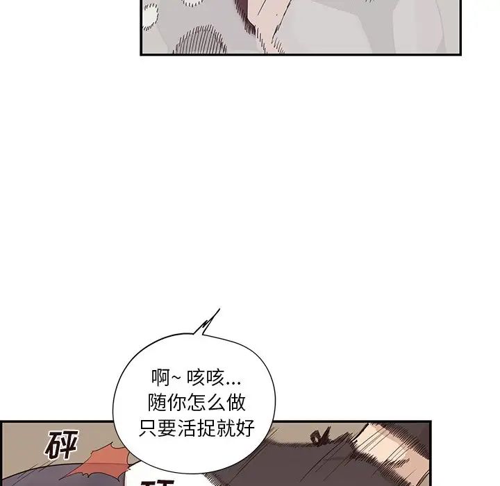 91.jpg