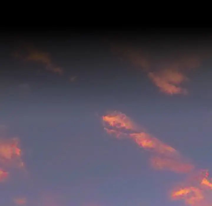 80.jpg