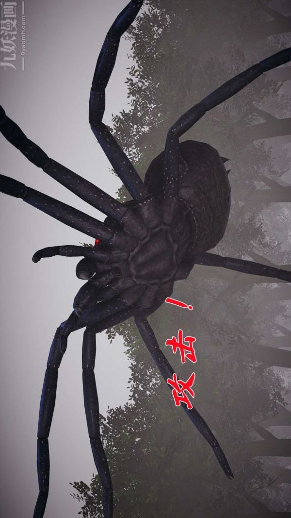 25.jpg
