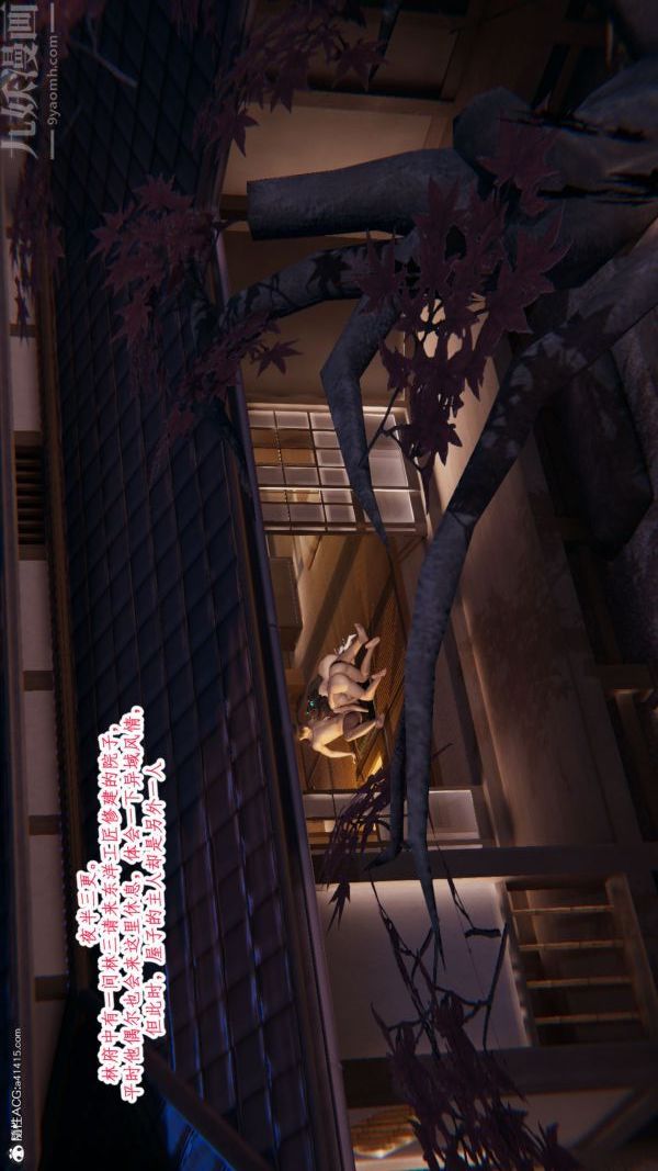11.jpg