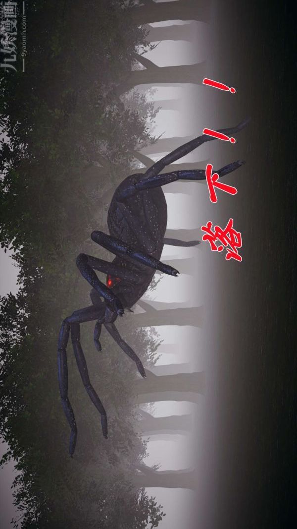 37.jpg