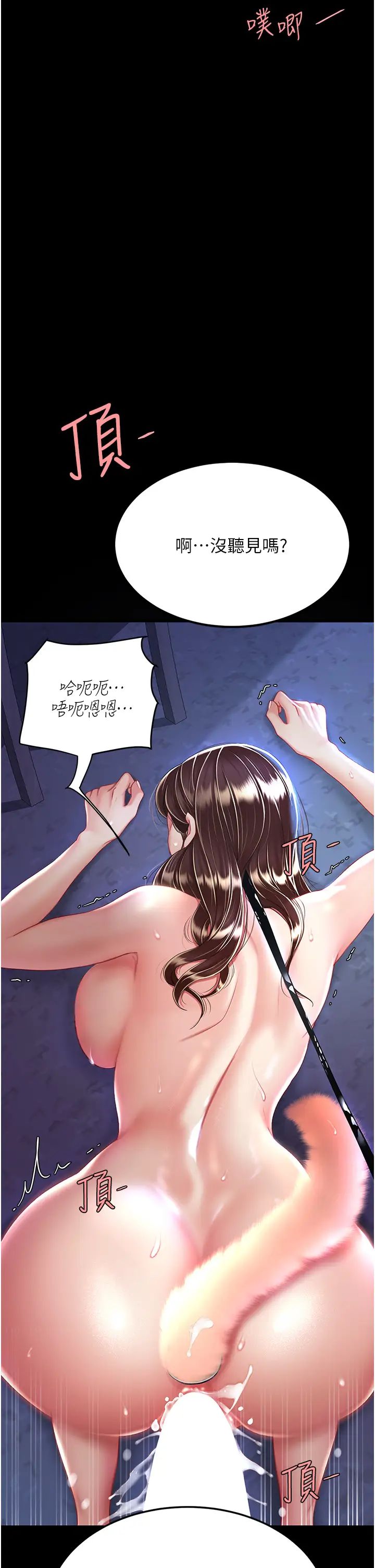 46.jpg