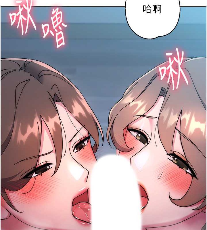 736.jpg