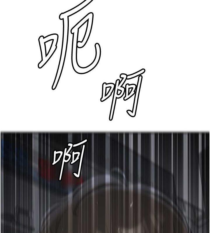 263.jpg