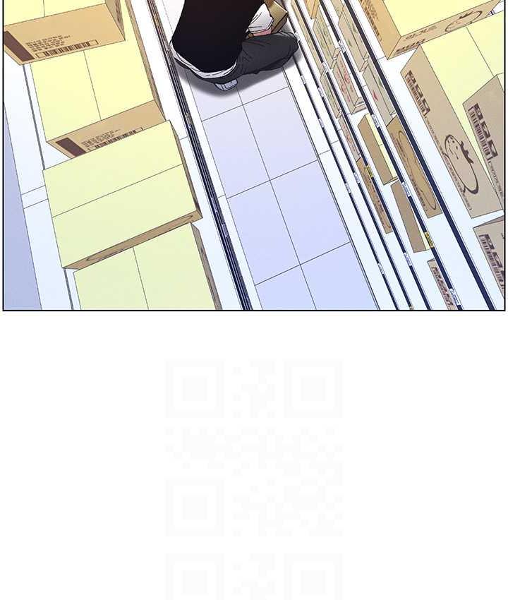 291.jpg