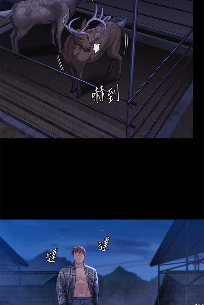 66.jpg