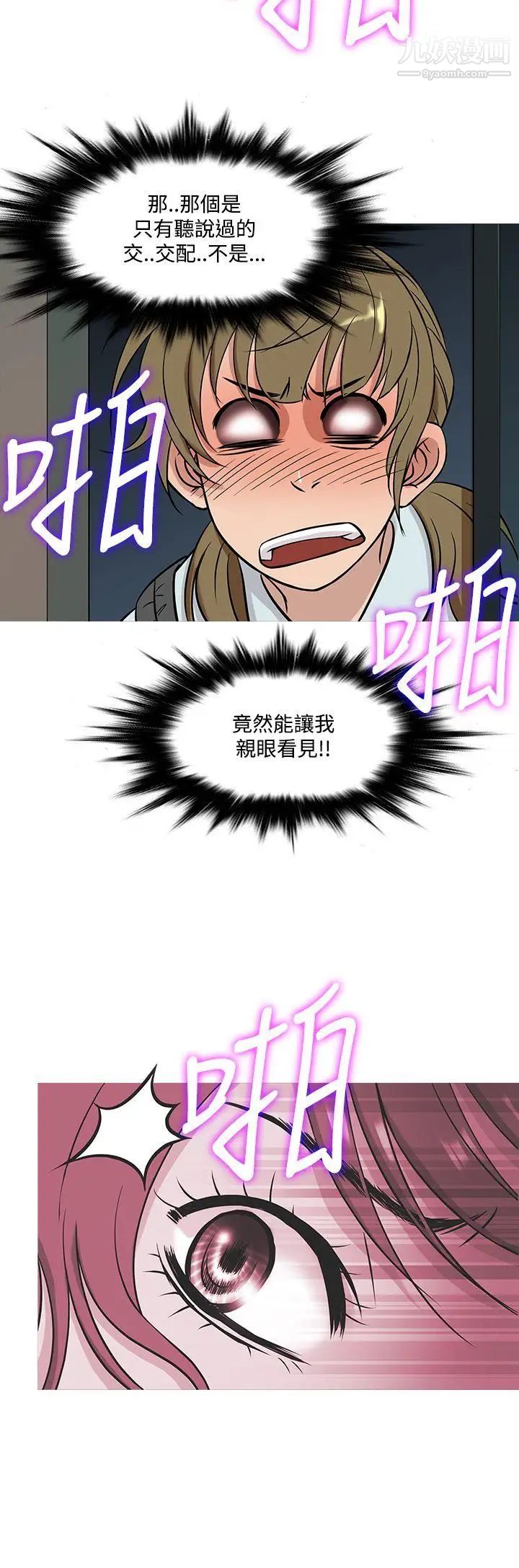 31.jpg