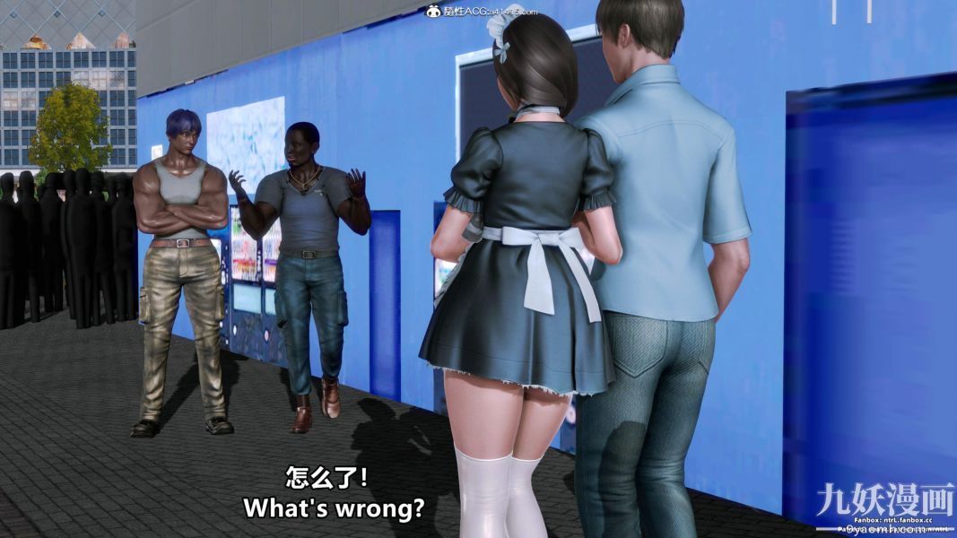 11.jpg