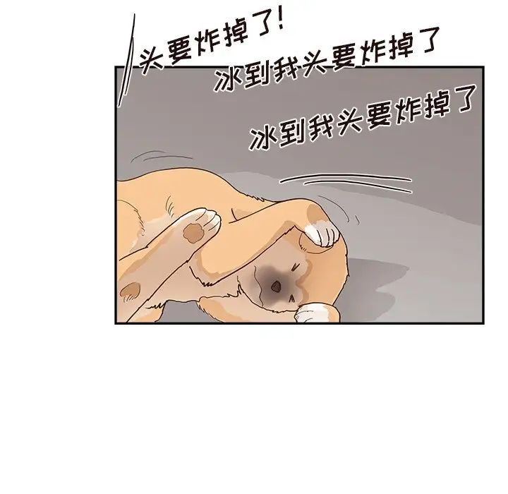 121.jpg