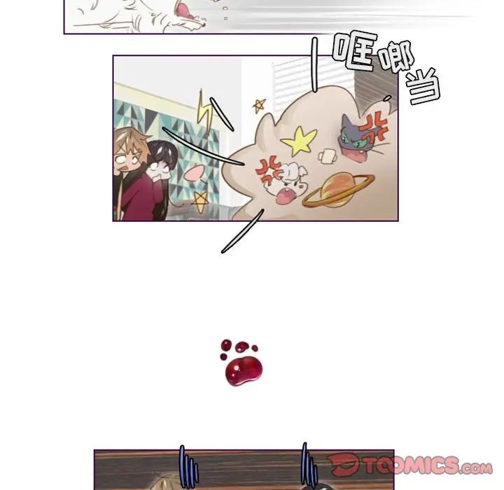 13.jpg