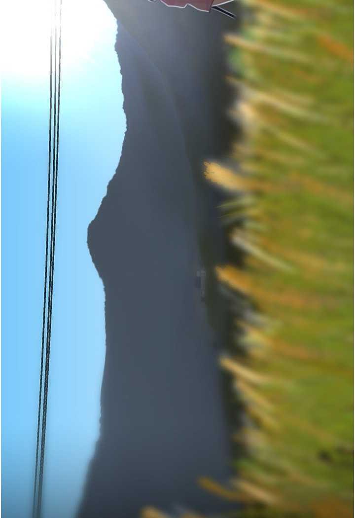 141.jpg