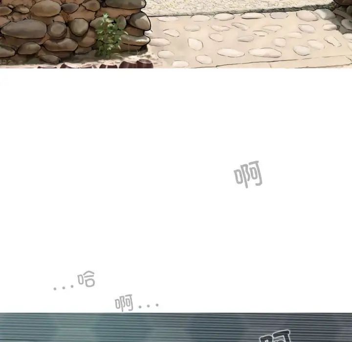 66.jpg