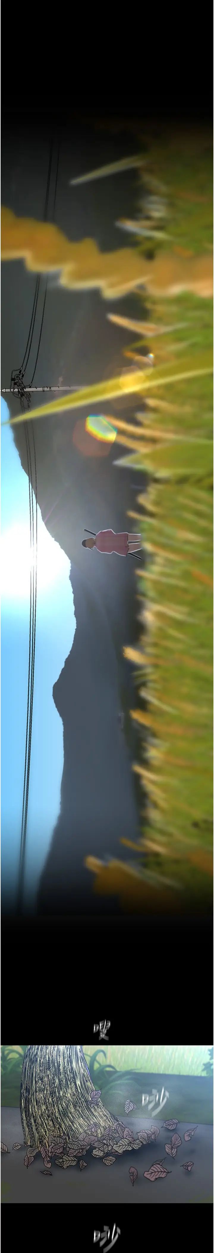 65.jpg